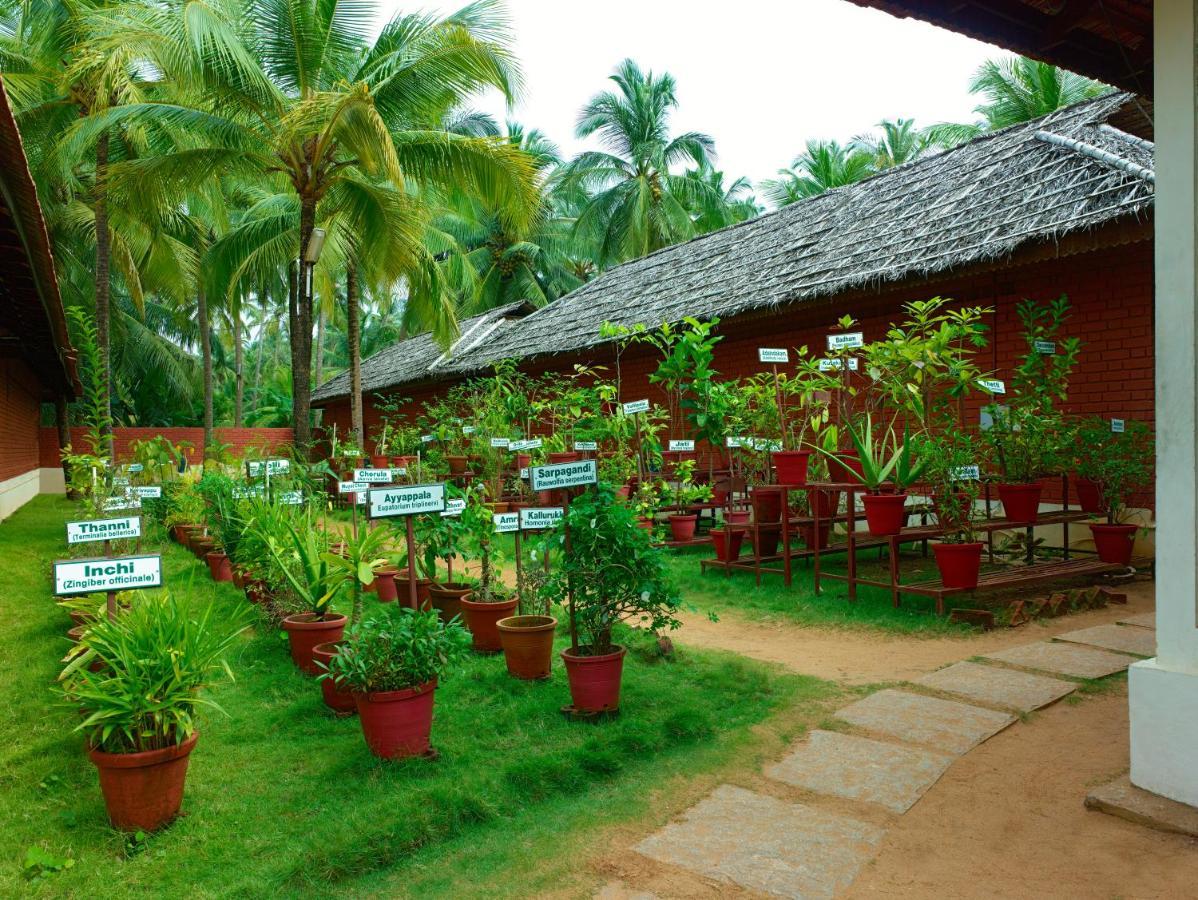 The Nattika Beach Resort Thrissur エクステリア 写真